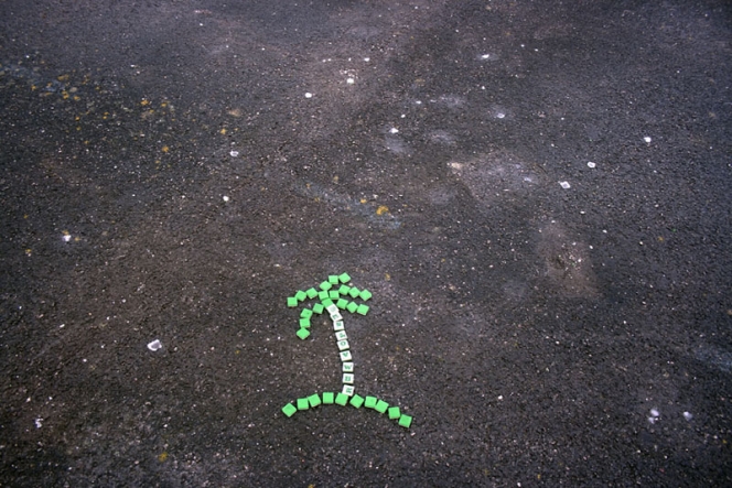 http://www.nyimaleray.com/files/gimgs/th-14__MG_7680ret 2_v2.jpg